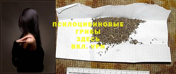 эйфоретик Бородино