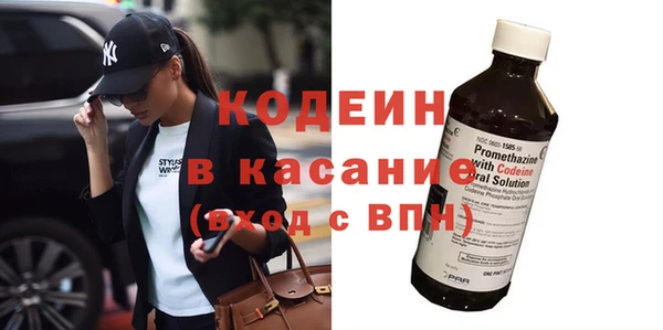 эйфоретик Бородино