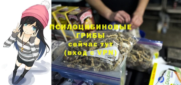 2c-b Бронницы