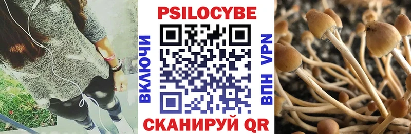 Псилоцибиновые грибы GOLDEN TEACHER  купить наркотики сайты  Уфа 